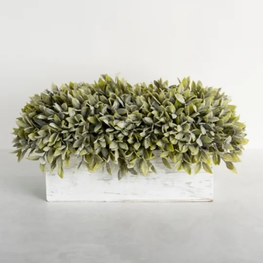 Kirkland's Home Frosted Sage Arrangement In Wooden Box- Arrangements & Greenery