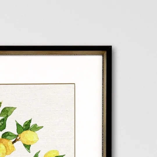 Kirkland's Home Fruit Topiary Giclee Black Framed Prints, Set Of 2- Framed Art