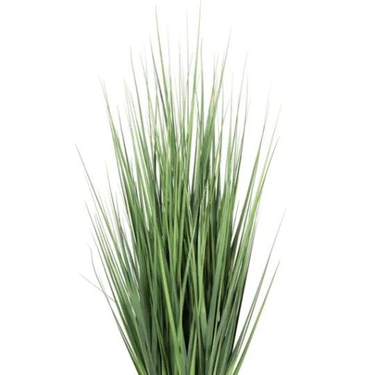 Kirkland's Home Full Green Grass Potted Plant- Trees & Topiaries
