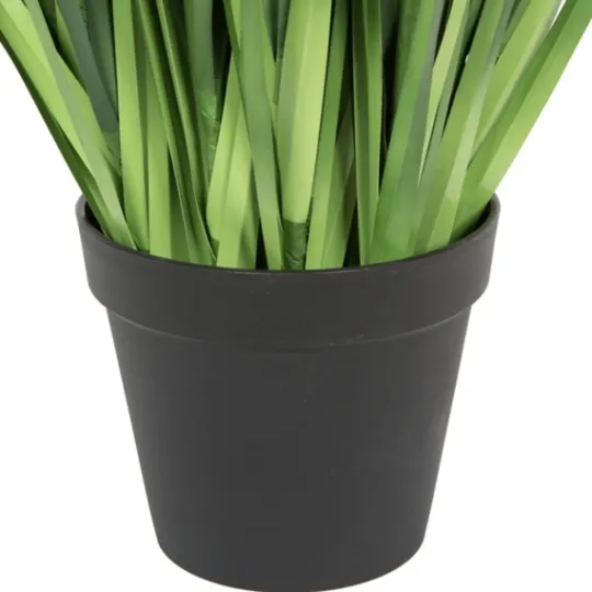 Kirkland's Home Full Green Grass Potted Plant- Trees & Topiaries
