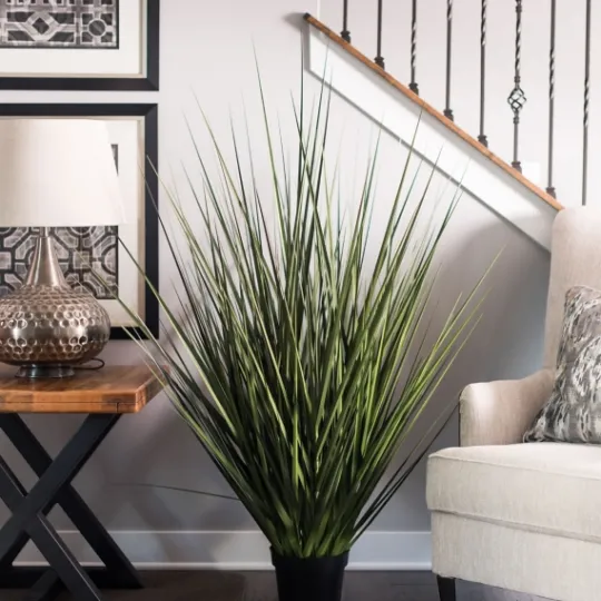 Kirkland's Home Full Green Grass Potted Plant- Trees & Topiaries