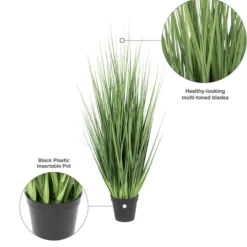 Kirkland's Home Full Green Grass Potted Plant- Trees & Topiaries