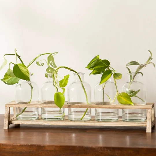 Kirkland's Home Glass Bottle Vase And Crate 5-Pc. Set- Vases
