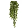 Kirkland's Home Gledistias In Hanging Metal Baskets, Set Of 2- Arrangements & Greenery