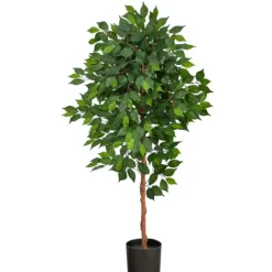 Kirkland's Home Glossy Leaf Ficus Tree In Black Nursery Planter- Trees & Topiaries