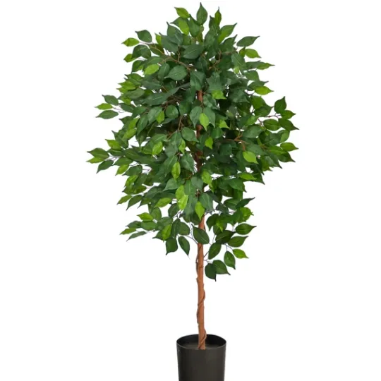 Kirkland's Home Glossy Leaf Ficus Tree In Black Nursery Planter- Trees & Topiaries
