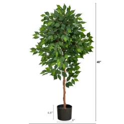 Kirkland's Home Glossy Leaf Ficus Tree In Black Nursery Planter- Trees & Topiaries
