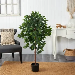 Kirkland's Home Glossy Leaf Ficus Tree In Black Nursery Planter- Trees & Topiaries
