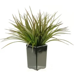 Kirkland's Home Grass Arrangement In Black Ceramic Planter- Arrangements & Greenery