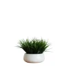 Kirkland's Home Grass Arrangement In White Ceramic Bowl- Arrangements & Greenery