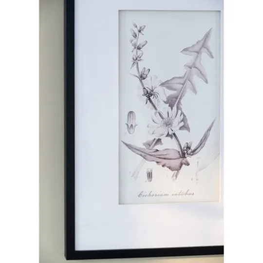 Kirkland's Home Gray And Cream Foliage 4-Pc. Framed Wall Art Set- Framed Art