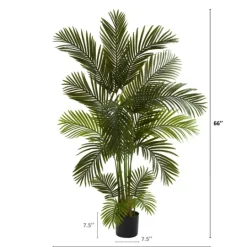 Kirkland's Home Green Areca Palm Tree In Black Planter, 66 In.- Trees & Topiaries