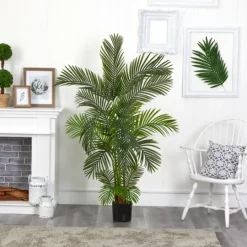 Kirkland's Home Green Areca Palm Tree In Black Planter, 66 In.- Trees & Topiaries