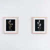 Kirkland's Home Green Botanicals Framed Art Prints, Set Of 2- Framed Art