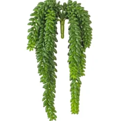 Kirkland's Home Green Donkey'S Tail Bush- Stems & Bouquets