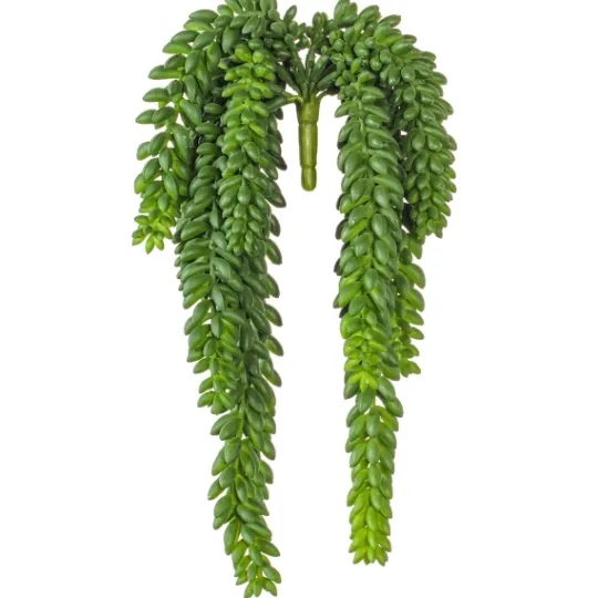 Kirkland's Home Green Donkey'S Tail Bush- Stems & Bouquets
