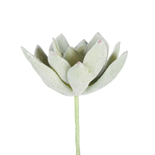 Kirkland's Home Green Echeveria Stems, Set Of 6- Stems & Bouquets