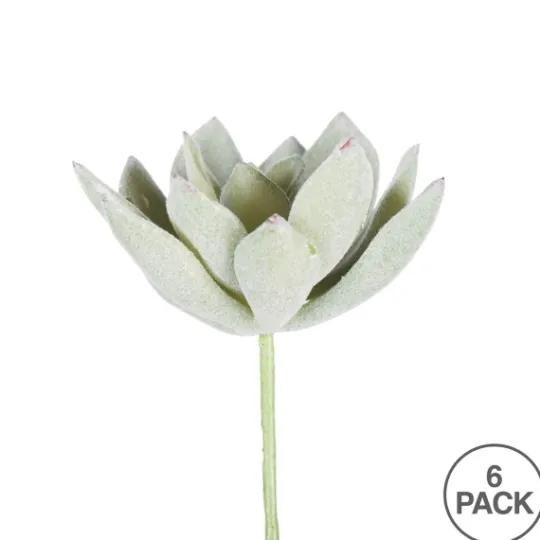 Kirkland's Home Green Echeveria Stems, Set Of 6- Stems & Bouquets