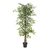 Kirkland's Home Green Ficus Potted Tree, 73 In.- Trees & Topiaries