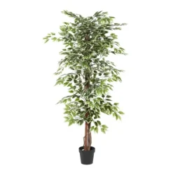 Kirkland's Home Green Ficus Potted Tree, 73 In.- Trees & Topiaries