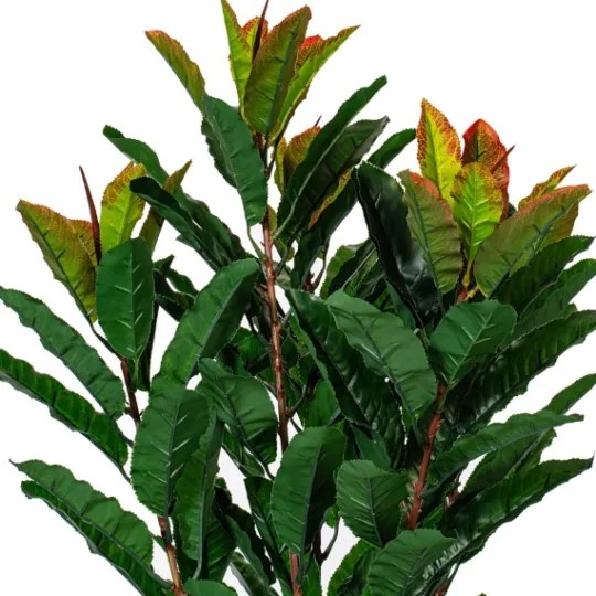 Kirkland's Home Green Myrtle Tree In Black Planter- Trees & Topiaries