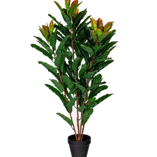 Kirkland's Home Green Myrtle Tree In Black Planter- Trees & Topiaries