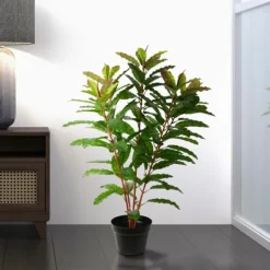 Kirkland's Home Green Myrtle Tree In Black Planter- Trees & Topiaries