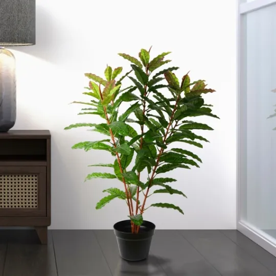 Kirkland's Home Green Myrtle Tree In Black Planter- Trees & Topiaries