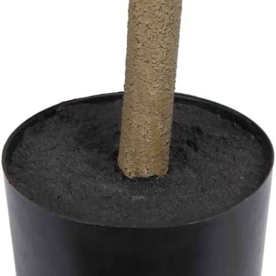 Kirkland's Home Green Nandina Tree In Black Planter- Trees & Topiaries