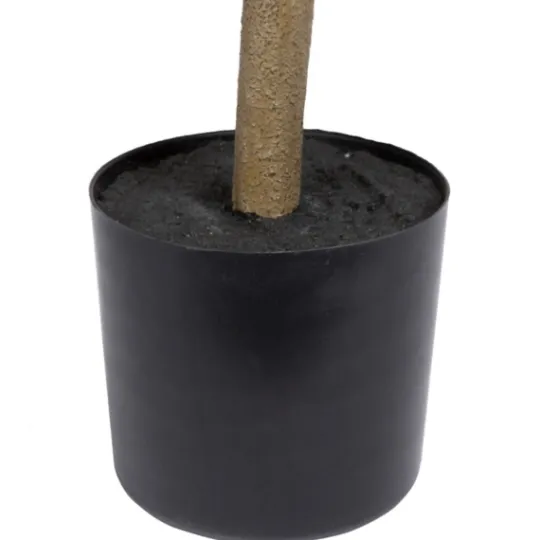 Kirkland's Home Green Nandina Tree In Black Planter- Trees & Topiaries