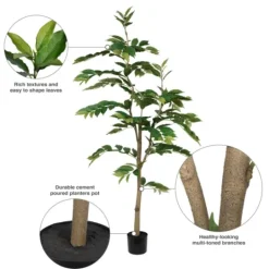 Kirkland's Home Green Nandina Tree In Black Planter- Trees & Topiaries