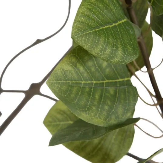 Kirkland's Home Green Potted Cotinus Coggygria Tree, 4 Ft.- Trees & Topiaries