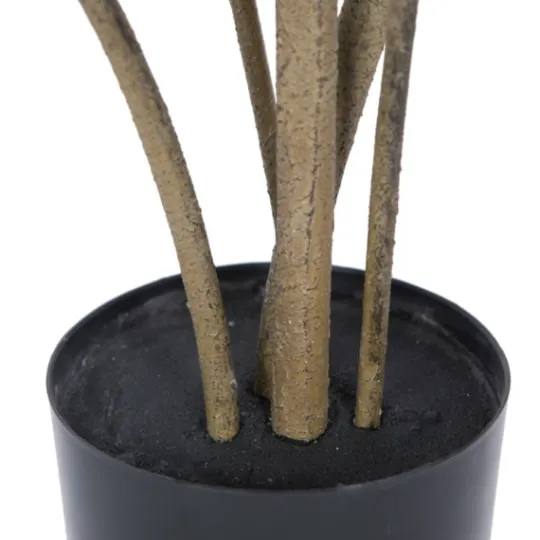 Kirkland's Home Green Potted Cotinus Coggygria Tree, 4 Ft.- Trees & Topiaries