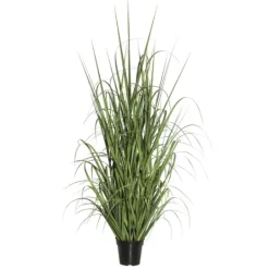 Kirkland's Home Green Ryegrass Potted Plant- Trees & Topiaries