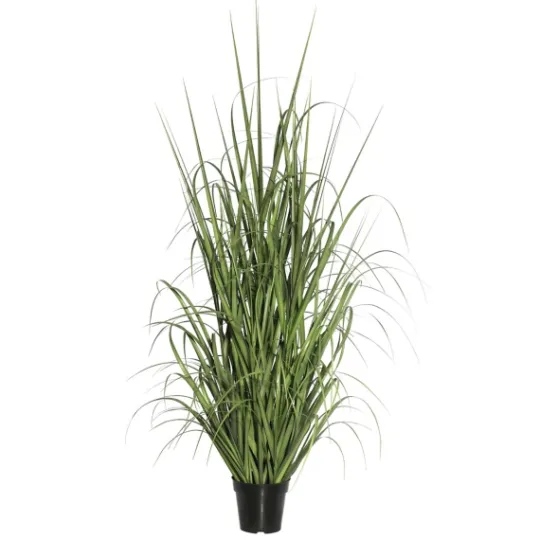 Kirkland's Home Green Ryegrass Potted Plant- Trees & Topiaries