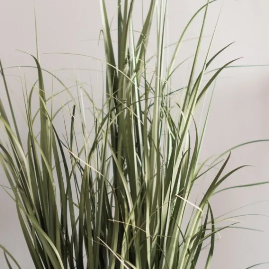 Kirkland's Home Green Ryegrass Potted Plant- Trees & Topiaries