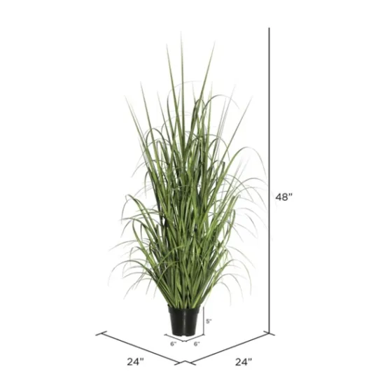 Kirkland's Home Green Ryegrass Potted Plant- Trees & Topiaries