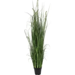 Kirkland's Home Green Sheep Grass Potted Plant- Trees & Topiaries