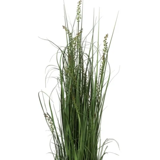 Kirkland's Home Green Sheep Grass Potted Plant- Trees & Topiaries
