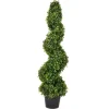Kirkland's Home Green Spiral Boxwood Potted Topiary, 3 Ft.- Trees & Topiaries