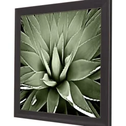 Kirkland's Home Green Succulent Iii Framed Canvas Art- Framed Art