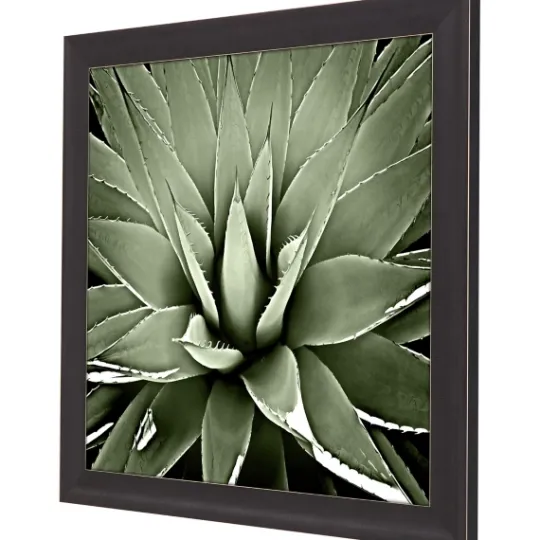 Kirkland's Home Green Succulent Iii Framed Canvas Art- Framed Art