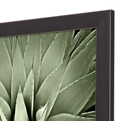 Kirkland's Home Green Succulent Iii Framed Canvas Art- Framed Art