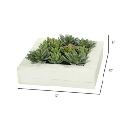 Kirkland's Home Green Succulents In White Rustic Planter- Arrangements & Greenery