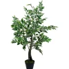 Kirkland's Home Green Variegated Leaf Ficus Tree- Trees & Topiaries