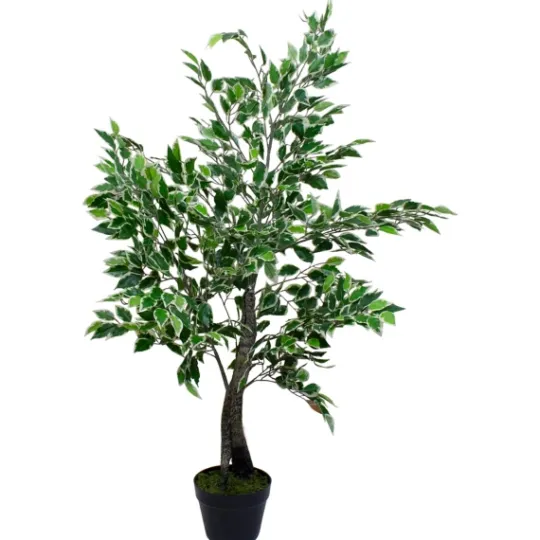 Kirkland's Home Green Variegated Leaf Ficus Tree- Trees & Topiaries