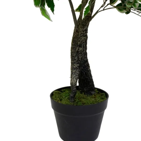 Kirkland's Home Green Variegated Leaf Ficus Tree- Trees & Topiaries