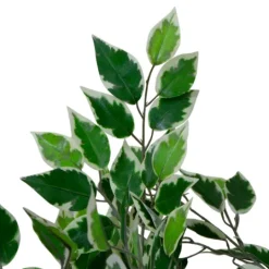 Kirkland's Home Green Variegated Leaf Ficus Tree- Trees & Topiaries