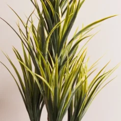 Kirkland's Home Green Yucca Tree In Black Planter- Trees & Topiaries