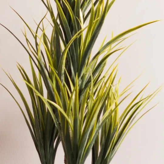Kirkland's Home Green Yucca Tree In Black Planter- Trees & Topiaries